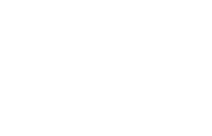 BMOR YOLO