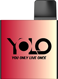 BMOR YOLO