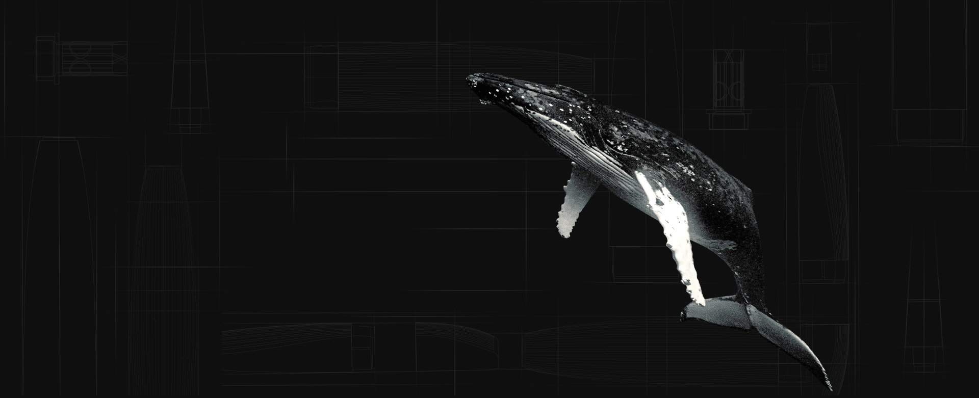 BMOR Whale Vape