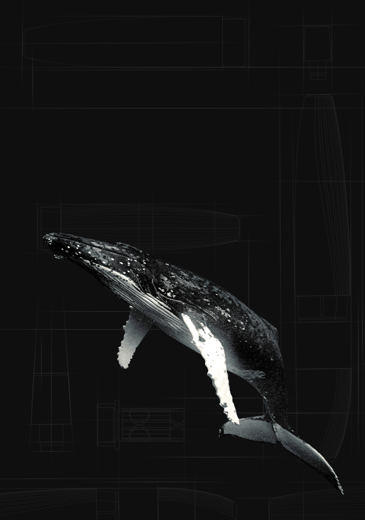 BMOR Whale Vape