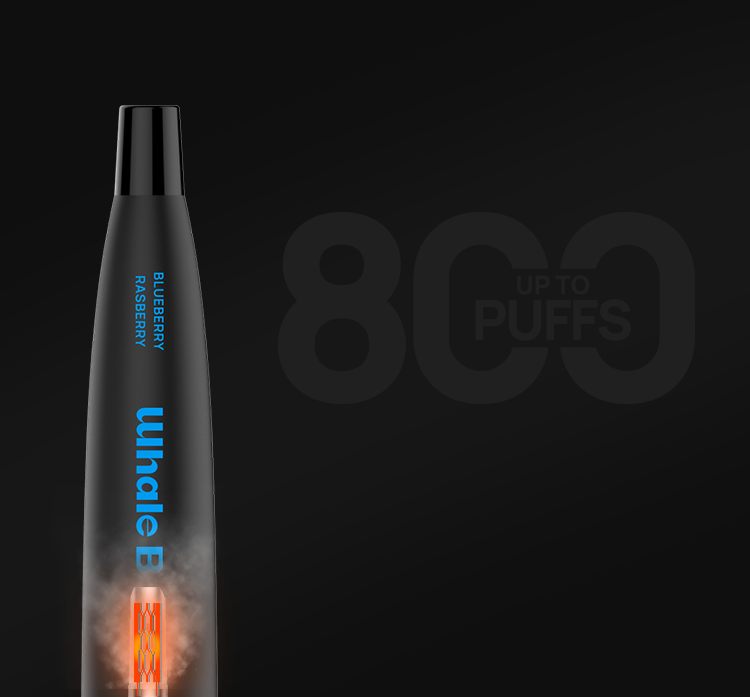 BMOR Whale Vape