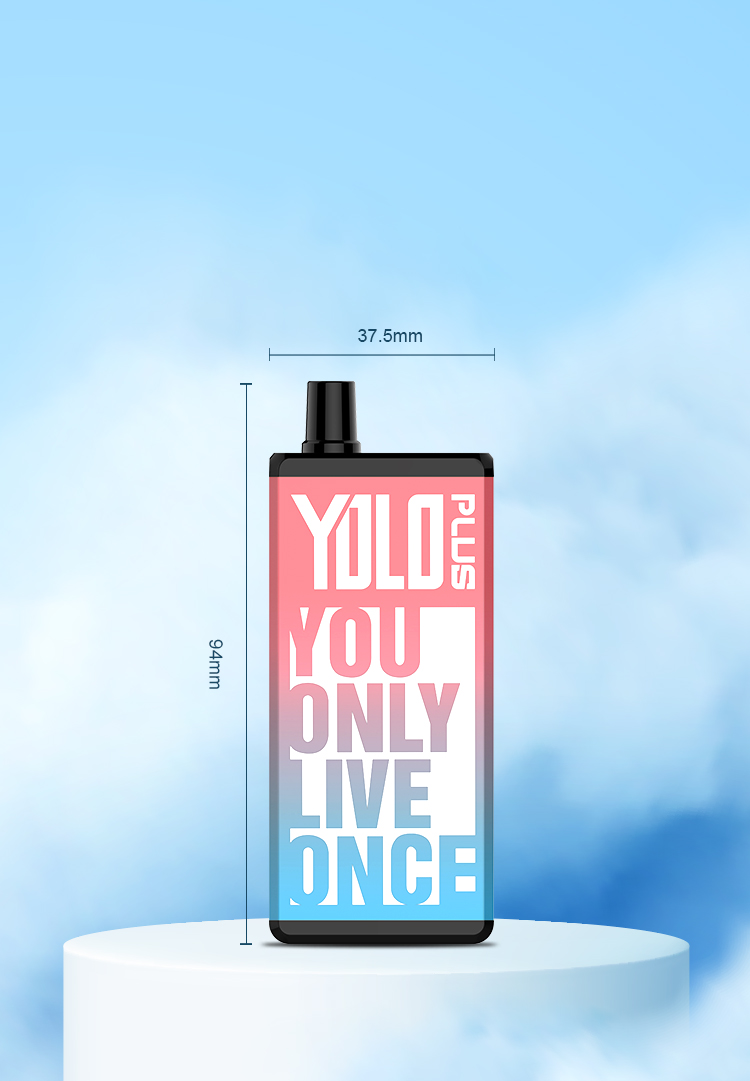 BMOR YOLO PLUS
