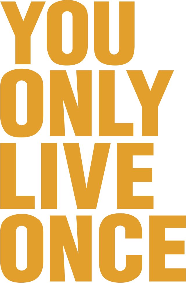 YOLO PLUS Vape