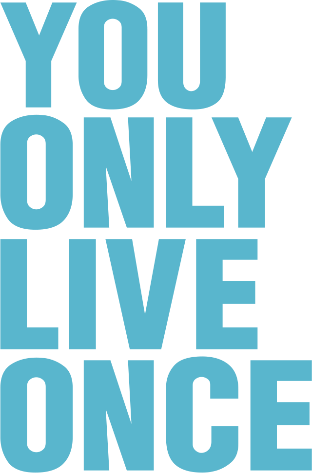 YOLO PLUS Vape