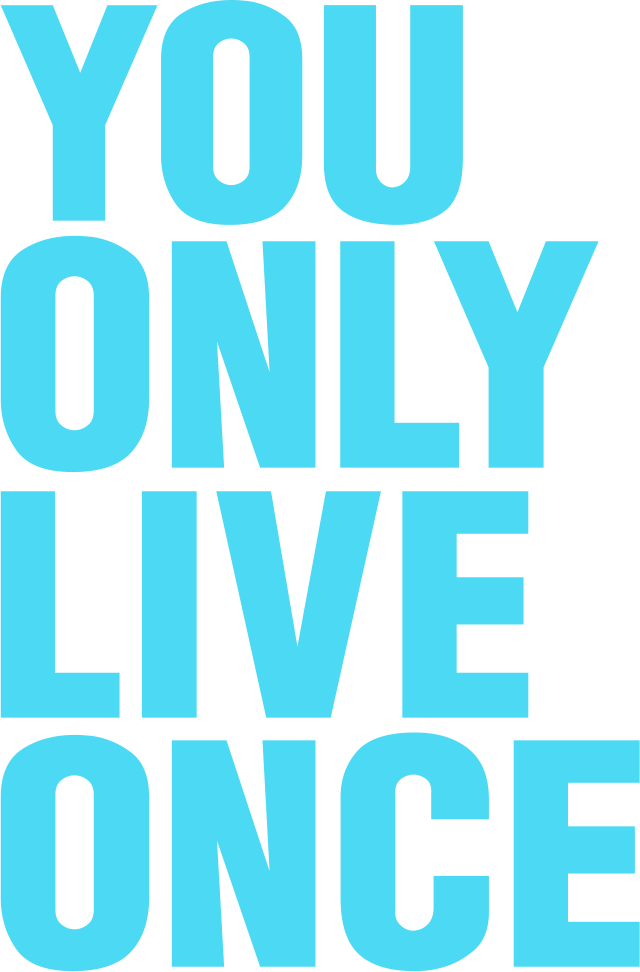 YOLO PLUS Vape